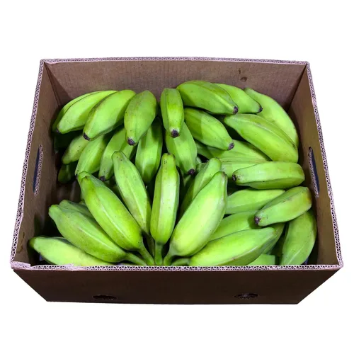 Miniatura 2 de Plátano Burro (envío incluido) (7 libras)
