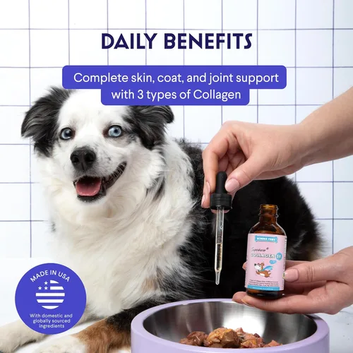Miniatura 4 de WONDER PAWS Colágeno Premium para Perros – Soporte Líquido para la Piel, el Pelaje, las CADERAS y las Articulaciones – con Ácido Hialurónico