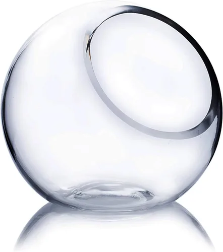 WGV Jarrón de vidrio con corte inclinado, ancho 14 cm, altura 14 cm, transparente, redondo, maceta para plantas, terrario, orbe, recipiente para