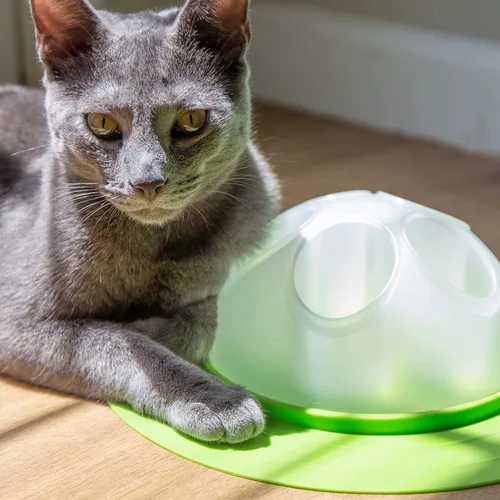 Miniatura 8 de Franklin Pet Supply Co. - Cuenco interactivo para excavación lenta para gatos, cuenco de juguete para golosinas + alimentos, comedero rascador