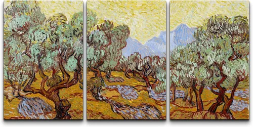 Miniatura 147 de Lienzo decorativo para pared - cuadro con estampado Giclée para decoración del hogar Noche estrellada sobre el Ródano