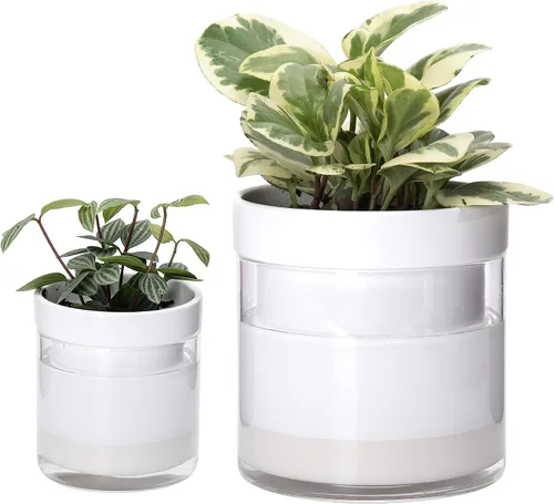 Miniatura 14 de Maceta Phoenix Vine de 6 Pulgadas con Riego Automático, Maceta de Arcilla Terracota con Reservario de Vidrio para Plantas de Interior, Hierbas