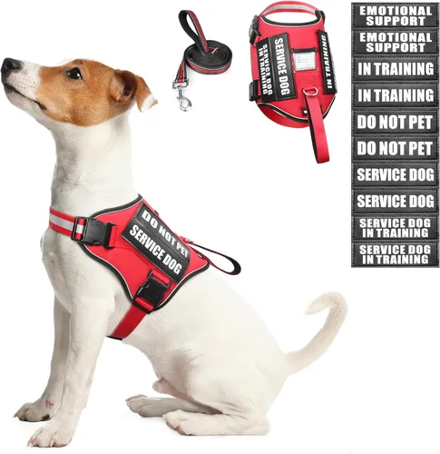 Miniatura 7 de Juego de arnés y correa para perro de servicio, chaleco de entrenamiento para perros con 10 parches para perros, arnés y chaleco para perros de Azul