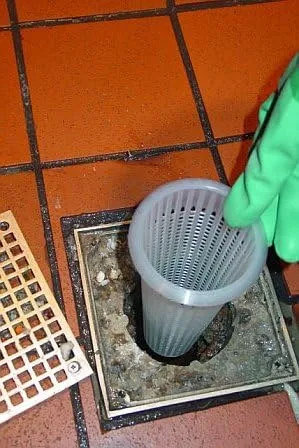 Miniatura 2 de Colador de drenaje Drain-Net de malla de plástico de 2 pulgadas