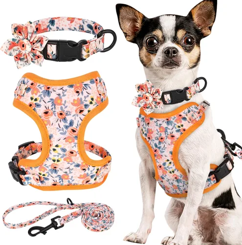 Miniatura 15 de Beirui Collares, arneses y correas lindos para perritas, conjunto - Collar y correa ajustable para perros con flores - Arnés de malla suave