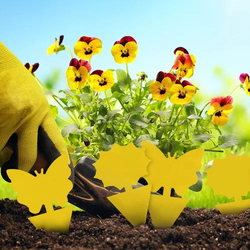 Miniatura 2 de Landisun - Trampas adhesivas para moscas de la fruta y moscas de los hongos, 24 unidades, para plantas de cocina de interior y exterior, para moscas