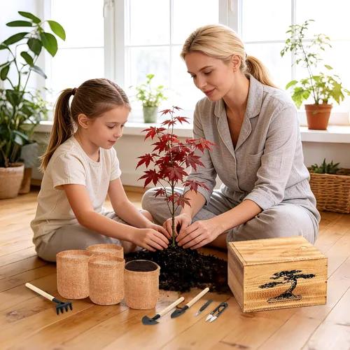 Miniatura 6 de Kit de árbol bonsái de 4 semillas, kit vivo de árbol bonsái para principiantes, fácil de cultivar, kit completo de inicio de jardín