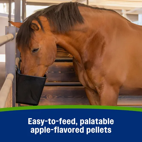 Miniatura 6 de Farnam Suplemento de electrolitos Apple Elite para caballos, reemplaza minerales vitales, para hidratación, sin azúcar añadida, suplementos