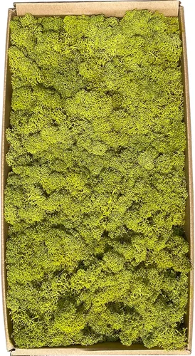 Miniatura 10 de Musgo artificial preservado de 1.1 libras para plantas en maceta, musgo verde fresco natural para manualidades, musgo artificial, orquídea floral
