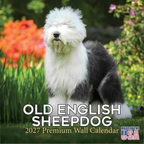Miniatura 91 de Calendario amarillo 2025 2026 de Labrador Pups – Calendario mensual de pared de raza de perro – 12" x 24" abierto – Papel grueso anti-traspaso