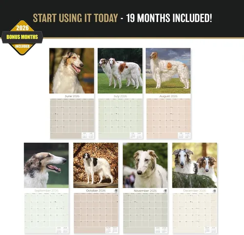 Miniatura 3 de Calendario Borzoi 2025 2026 – Calendario mensual de pared de raza de perro – 12 x 24 pulgadas abierto – Papel grueso que no se corre – Regalar