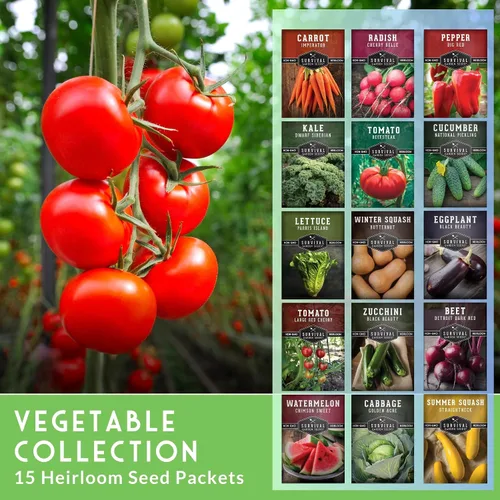 Miniatura 3 de Bóveda de semillas de jardín de verduras para plantar – Colección de 15 unidades Kit de jardín familiar Heirloom sin OMG y regalo – Tomate