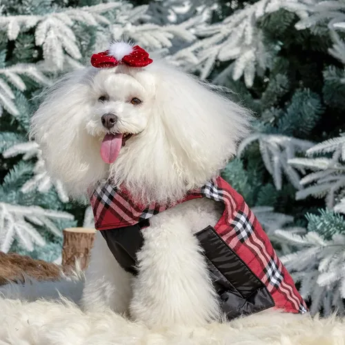 Miniatura 5 de CuteBone Chaqueta de invierno para perro, reversible, ajustable, resistente al viento y al agua, abrigo grueso para perros pequeños a grandes