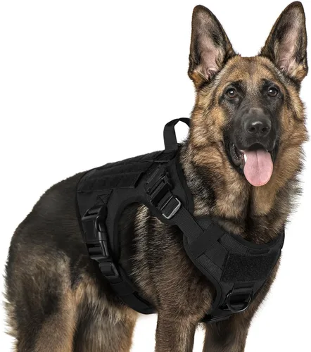 Miniatura 40 de rabbitgoo - Arnés táctico para perros pequeños, arnés resistente para mascotas con asa, chaleco de servicio sin tirones para razas pequeñas, chaleco