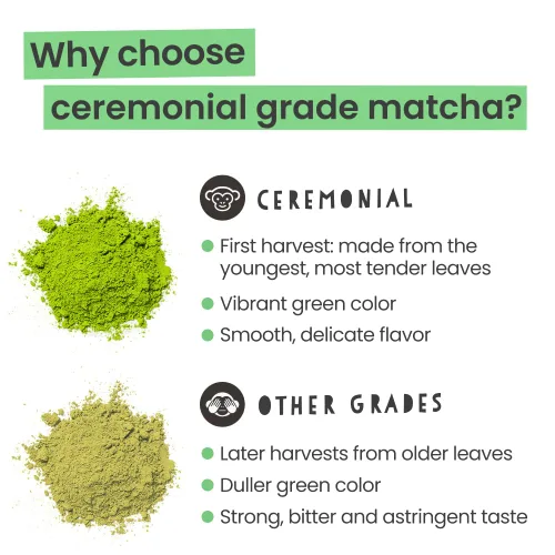 Miniatura 10 de PureChimp Polvo de matcha de grado ceremonial, 1.75 onzas. Té japonés puro de grado ceremonial matcha cultivado en sombra en Kagoshima. Polvo de té