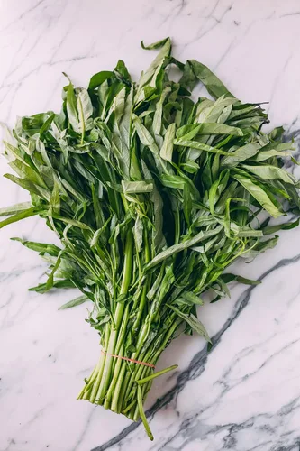 Miniatura 2 de Gaea's Blessing Semillas Ong Choy Seeds - Kong Xin CAI Kangkong - Semillas sin OMG con instrucciones de plantación fáciles de seguir 94% de tasa