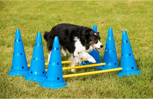 Miniatura 7 de Midlee Juego de agilidad de cono y poste para perros, ajustable para perros grandes a pequeños, juego de 3