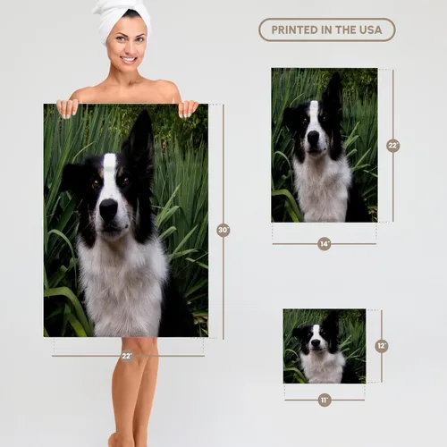Miniatura 6 de 3dRose Border Collie 2 22x30 Bath Hand Pool Towel