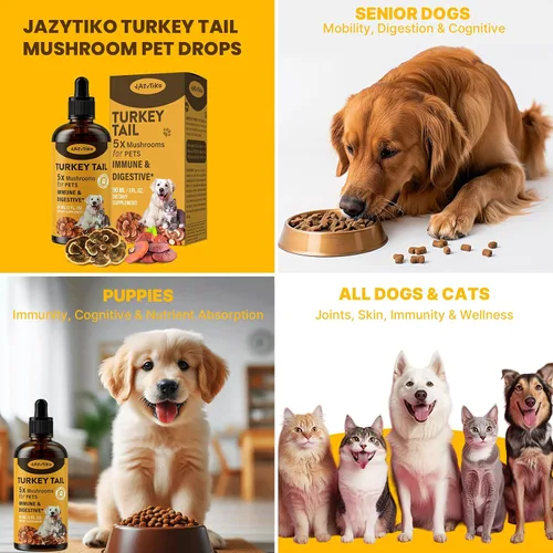 Miniatura 6 de Seta cola de pavo para perros - Absorción más rápida 2000mg de seta cola de pavo para inmunidad y digestión, articulaciones, energía, 5 veces más