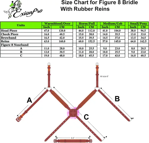 Miniatura 7 de Exion Figura 8 - Brida de caballo con riendas de cuero Brida de salto inglesa con banda nasal de figura 8 Brida ecuestre negra y marrón