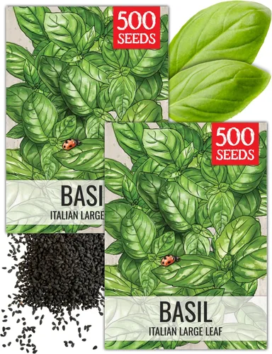 Miniatura 12 de Seed Needs Semillas de albahaca para plantar hierbas de albahaca tailandesa, sin OMG y semillas de hierbas sin tratar para cultivar un jardín