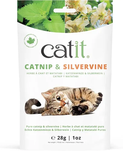 Miniatura 5 de Catit Burbujas de hierba gatera para estimular gatos de interior y exterior