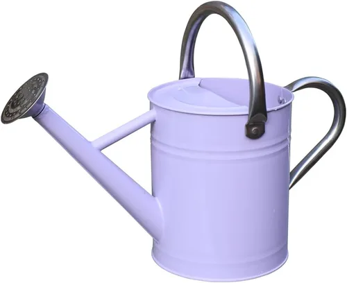 Miniatura 14 de Regadera de metal, latas de riego de un galón de acero inoxidable para riego de plantas de jardín interiores y exteriores (zinc de 1 galón)