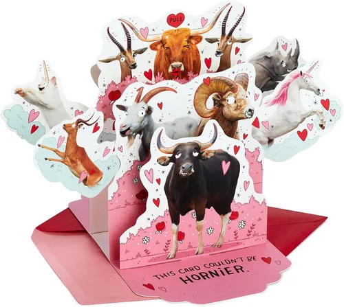 Miniatura 9 de Hallmark Shoebox - Tarjeta de amor divertida (toda la noche) para aniversario, cumpleaños romántico, solo porque y más