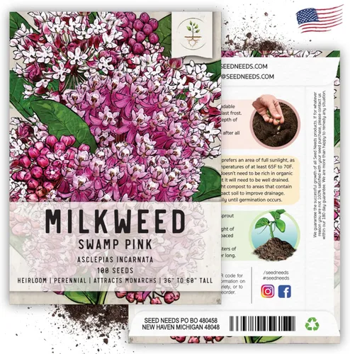 Miniatura 7 de Seed Needs Pink Swamp Semillas de algodoncillo para plantar, reliquia y sin tratar, cultiva un jardín de mariposas para atraer mariposas monarca