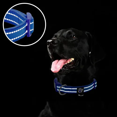 Miniatura 4 de azuza Collar reflectante para perro, de neopreno suave acolchado con anillo para etiqueta de identificación, ajustable para perros pequeños, azul