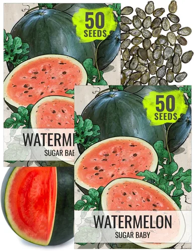 Miniatura 12 de Seed Needs Semillas de sandía para plantar sandías dulces carmesí, reliquia sin OMG y sin tratar, cultiva un jardín cultivado en casa al aire libre