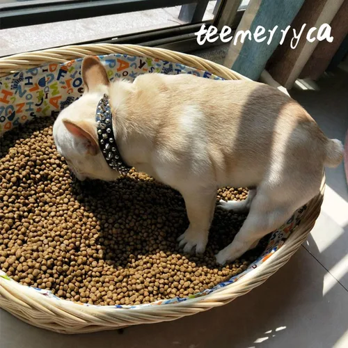 Miniatura 6 de Teemerryca - Collares para perro, ajustables, de piel de microfibra con púas punzantes y una pelota chillona de regalo, para mascotas pequeñas, Negro
