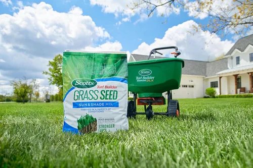 Miniatura 11 de Scotts – Mezcla de semillas de césped Turf Builder Sun & Shade con fertilizante y mejorador de suelo, prospera en diversas condiciones, 16 libras