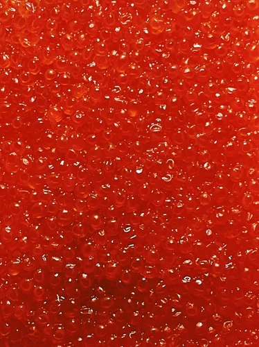 Miniatura 3 de Caviar rojo salmón, Phillips & Son Premium Chum Huevas 2.2 lb 35.27 oz