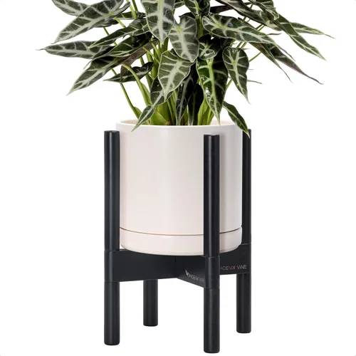 Miniatura 84 de D'vine Dev Maceta de cerámica con soporte de ébano – Maceta redonda moderna de 8 pulgadas con soporte para maceta de madera, color negro, 55-B-M-2