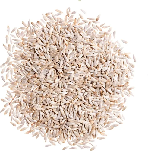 Miniatura 6 de Seed Needs Semillas de lechuga romana para plantar Parris Island COS - Cultivos anuales de clima frío sin OMG y sin tratar, cultiva un huerto al