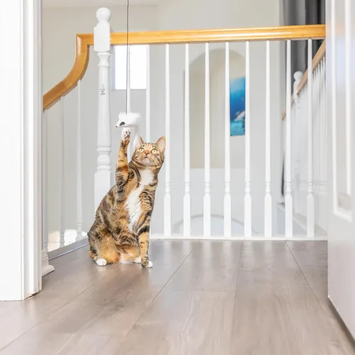 Miniatura 5 de SPOT A-Door-Able - Juguete interactivo para gatos con sonajero colgante y hierba gatera, entretiene a los gatos durante horas, disfruta