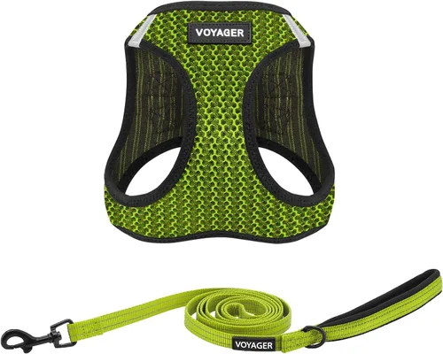 Best Pet Supplies - Conjunto de arnés Step-in Air para cualquier clima y correa reflectante de 5 pies con mango de neopreno Voyager, para perros