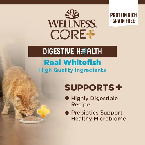 Miniatura 3 de Wellness CORE+ Digestive Health Pate Alimento húmedo enlatado en paté para adultos, natural, rico en proteínas, sin granos, receta de pescado