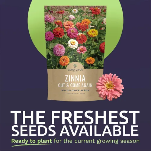 Miniatura 3 de Zinnia Cut & Come Again Mix - Bolsa a granel de 1 libra - 60,000 semillas de flores para plantar - Zinnia elegans