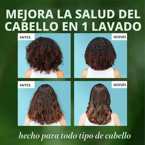 Miniatura 6 de Herbal Essences Juego de champú y acondicionador reparador de aceite de argán, hidrata y suaviza, sin parabenos, seguro para el color, pH