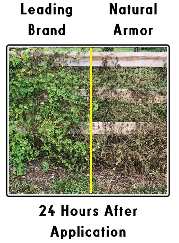 Miniatura 2 de Natural Armor Fórmula concentrada totalmente natural para eliminar malezas y hierbas. No contiene glifosato (1 caja de repuestos de 4 galones)