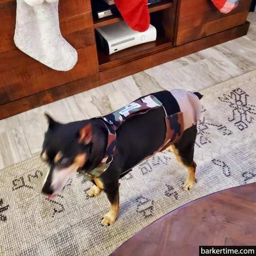 Miniatura 2 de Pañal para perro Camo on Brown, L, con agujero para la cola, fabricado en Estados Unidos