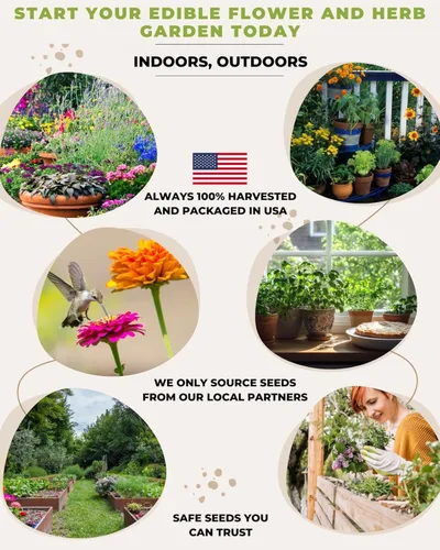 Miniatura 3 de Tactiko - Juego de 35 semillas comestibles de flores y hierbas, semillas cultivadas en Estados Unidos, semillas de polinización abierta sin OMG