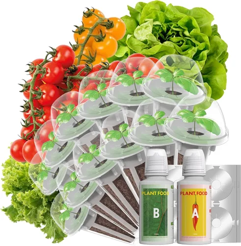 Miniatura 8 de Vainas de semillas de flores y frutas LYKOCLEAN para AeroGarden, Ahopegarden, sistema de cultivo hidropónico iDOO para interiores, 350 semillas+