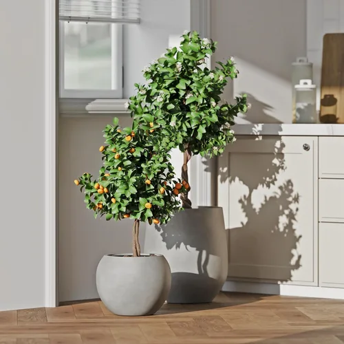 Miniatura 11 de DTY Fiberstone - Maceta tipo globo para interiores y exteriores, maceta esférica ligera para olivo, Monstera y palma, piedra de fibra de vidrio