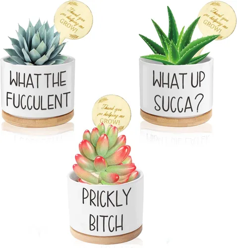 Miniatura 7 de Macetas para suculentas, macetas divertidas de cerámica de 3.15 pulgadas con etiquetas para plantas, macetas pequeñas con agujeros de drenaje