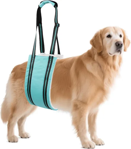 Miniatura 15 de AIITLE Eslingas mejoradas para perros pequeños – Arnés de soporte para patas traseras y cadera, ayuda de elevación de rehabilitación súper suave