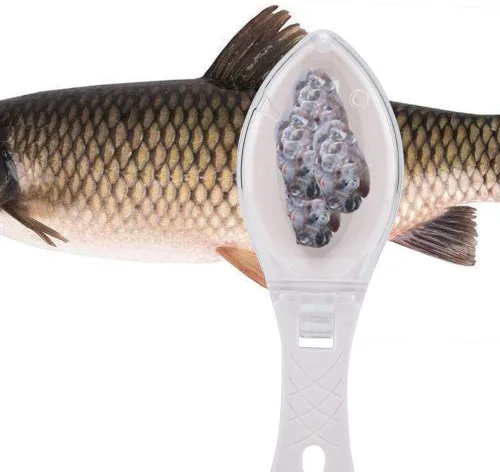 Miniatura 8 de Yosoo o Rápido Quitar Pescado Cepillo de raspado de piel de pescado Ralladores de cepillo de limpieza Peeler de plástico Raspador de cocina Cuchillo