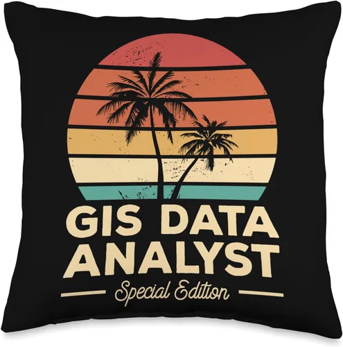 GIS Data Analyst Gifts Vintage GIS Data Analyst - Almohada con sistema de información geográfica, 16 x 16 pulgadas, multicolor